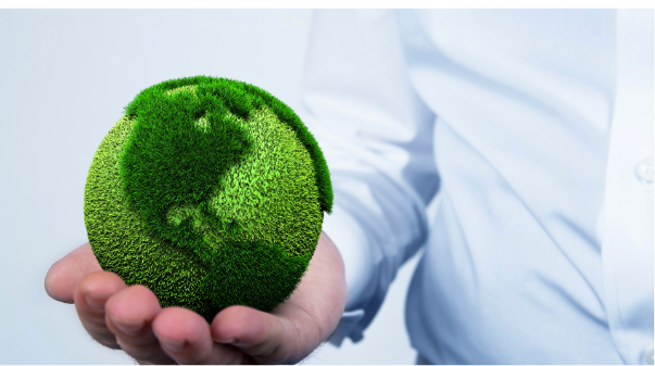 [+]  Consultoria e Licenciamento Ambiental